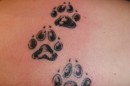Tattoo- und Piercingstudio Alzey - Tiere und Blumen made by Ralf