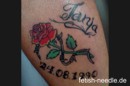 Tattoo- und Piercingstudio Alzey - Tiere und Blumen made by Sasa