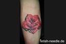 Tattoo- und Piercingstudio Alzey - Tiere und Blumen made by Sasa