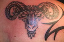 Tattoo- und Piercingstudio Alzey - Tiere und Blumen made by Sasa