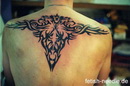 Tattoo- und Piercingstudio Alzey - Tribal made by Ralf
