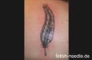 Tattoo- und Piercingstudio Alzey - Verschiedene made by Ralf